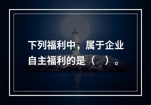 下列福利中，属于企业自主福利的是（　）。