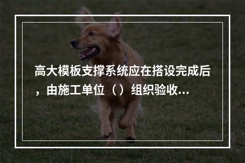 高大模板支撑系统应在搭设完成后，由施工单位（ ）组织验收。