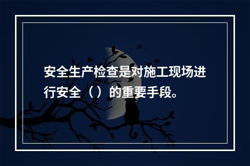 安全生产检查是对施工现场进行安全（ ）的重要手段。