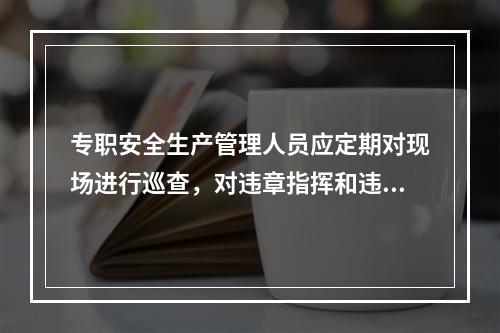 专职安全生产管理人员应定期对现场进行巡查，对违章指挥和违章作