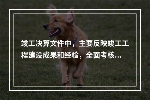 竣工决算文件中，主要反映竣工工程建设成果和经验，全面考核分析