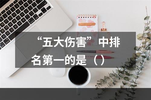 “五大伤害”中排名第一的是（ ）