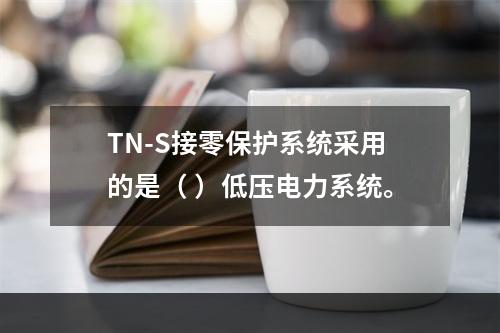 TN-S接零保护系统采用的是（ ）低压电力系统。