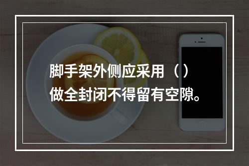 脚手架外侧应采用（ ）做全封闭不得留有空隙。