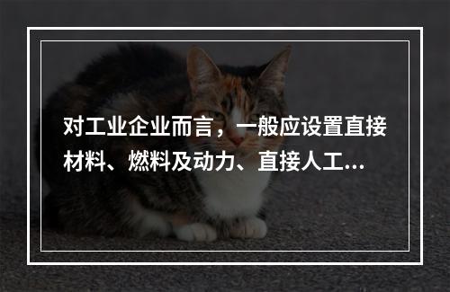 对工业企业而言，一般应设置直接材料、燃料及动力、直接人工、制