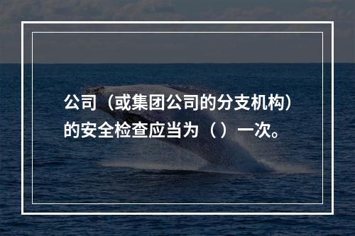 公司（或集团公司的分支机构）的安全检查应当为（ ）一次。