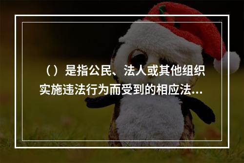 （ ）是指公民、法人或其他组织实施违法行为而受到的相应法律制