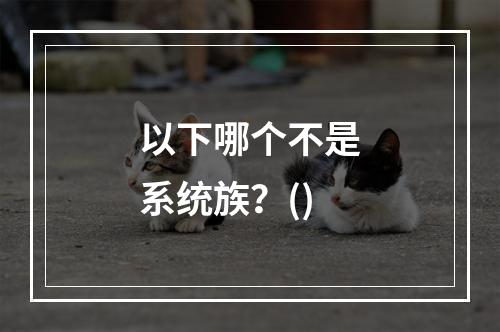 以下哪个不是系统族？()