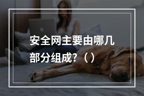 安全网主要由哪几部分组成?（ ）