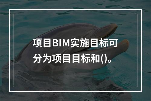 项目BIM实施目标可分为项目目标和()。