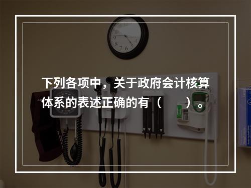 下列各项中，关于政府会计核算体系的表述正确的有（　　）。