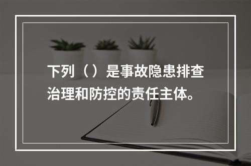 下列（ ）是事故隐患排查治理和防控的责任主体。