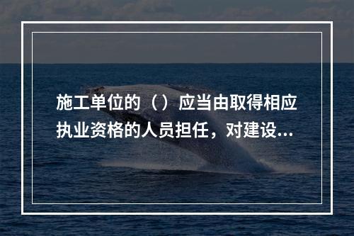 施工单位的（ ）应当由取得相应执业资格的人员担任，对建设工程