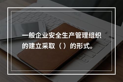 一般企业安全生产管理组织的建立采取（ ）的形式。