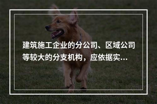 建筑施工企业的分公司、区域公司等较大的分支机构，应依据实际生