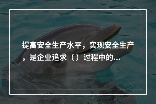 提高安全生产水平，实现安全生产，是企业追求（ ）过程中的重要