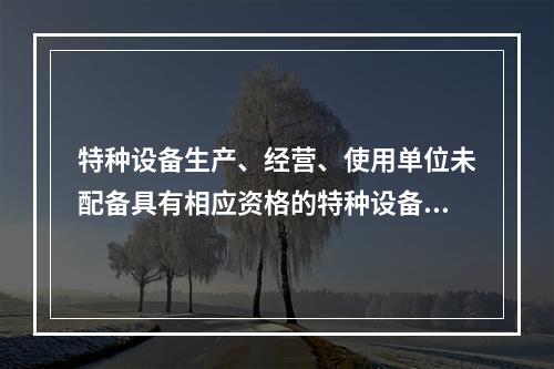 特种设备生产、经营、使用单位未配备具有相应资格的特种设备安全