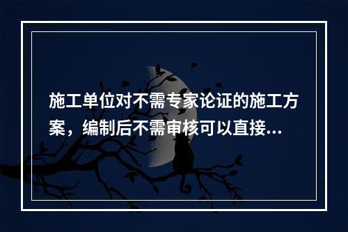 施工单位对不需专家论证的施工方案，编制后不需审核可以直接报送