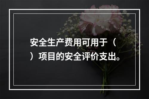 安全生产费用可用于（ ）项目的安全评价支出。