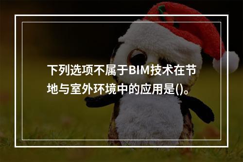 下列选项不属于BIM技术在节地与室外环境中的应用是()。