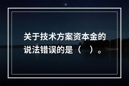 关于技术方案资本金的说法错误的是（　）。