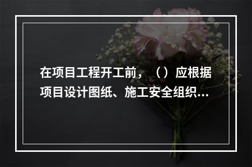 在项目工程开工前，（ ）应根据项目设计图纸、施工安全组织设计