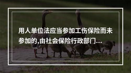 用人单位法应当参加工伤保险而未参加的,由社会保险行政部门责令