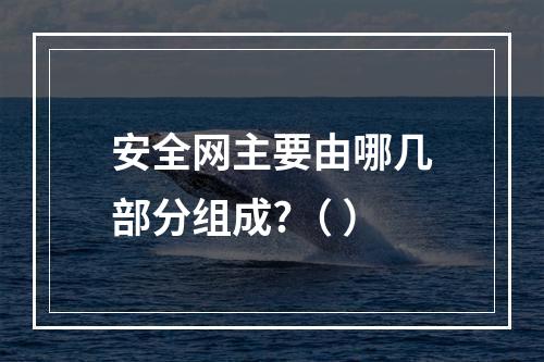 安全网主要由哪几部分组成?（ ）