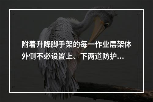 附着升降脚手架的每一作业层架体外侧不必设置上、下两道防护栏杆