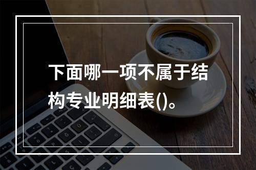 下面哪一项不属于结构专业明细表()。