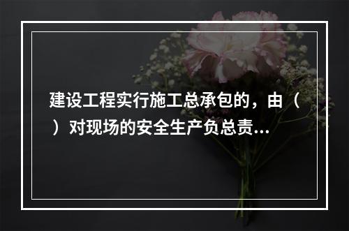 建设工程实行施工总承包的，由（ ）对现场的安全生产负总责。