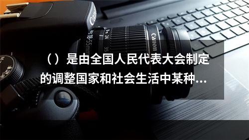 （ ）是由全国人民代表大会制定的调整国家和社会生活中某种带有