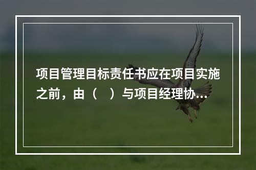 项目管理目标责任书应在项目实施之前，由（　）与项目经理协商制