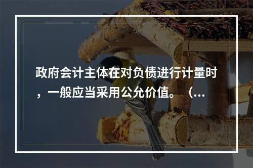 政府会计主体在对负债进行计量时，一般应当采用公允价值。（　　