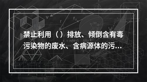 禁止利用（ ）排放、倾倒含有毒污染物的废水、含病源体的污水和