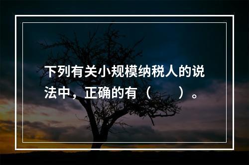 下列有关小规模纳税人的说法中，正确的有（　　）。