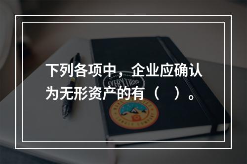 下列各项中，企业应确认为无形资产的有（　）。