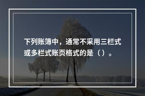 下列账簿中，通常不采用三栏式或多栏式账页格式的是（ ）。