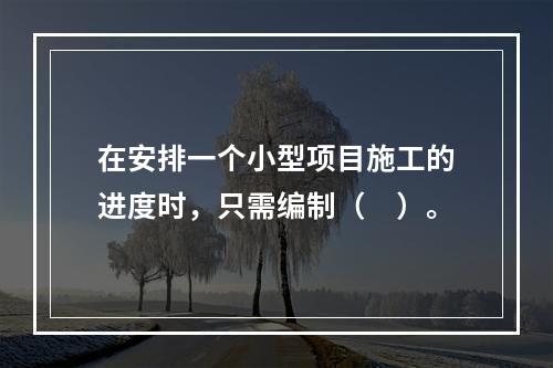 在安排一个小型项目施工的进度时，只需编制（　）。