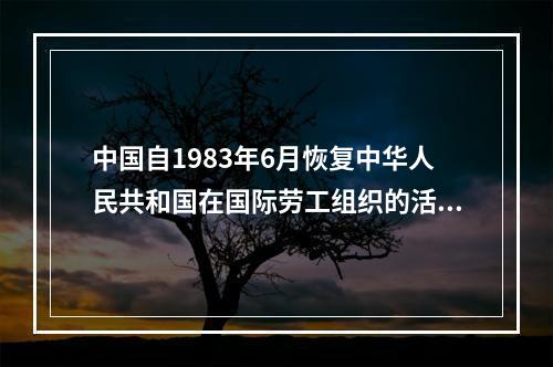 中国自1983年6月恢复中华人民共和国在国际劳工组织的活动，