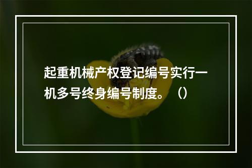 起重机械产权登记编号实行一机多号终身编号制度。（）