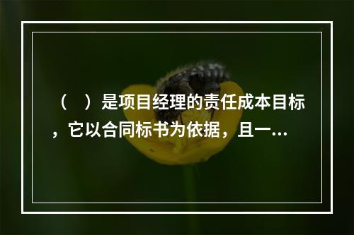 （　）是项目经理的责任成本目标，它以合同标书为依据，且一般情