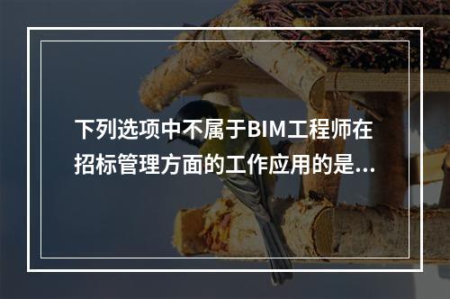 下列选项中不属于BIM工程师在招标管理方面的工作应用的是()