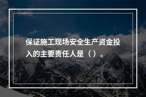 保证施工现场安全生产资金投入的主要责任人是（ ）。