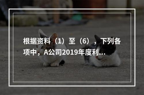 根据资料（1）至（6），下列各项中，A公司2019年度利润表