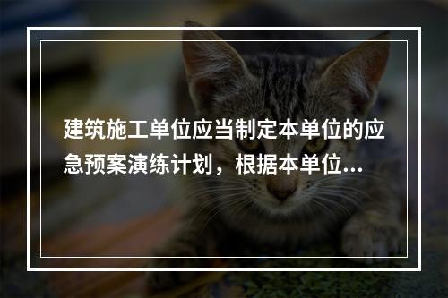 建筑施工单位应当制定本单位的应急预案演练计划，根据本单位的事