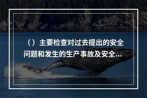 （ ）主要检查对过去提出的安全问题和发生的生产事故及安全隐患