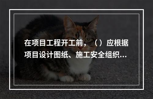 在项目工程开工前，（ ）应根据项目设计图纸、施工安全组织设计