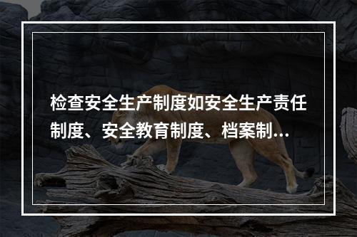 检查安全生产制度如安全生产责任制度、安全教育制度、档案制度检