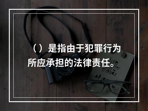 （ ）是指由于犯罪行为所应承担的法律责任。